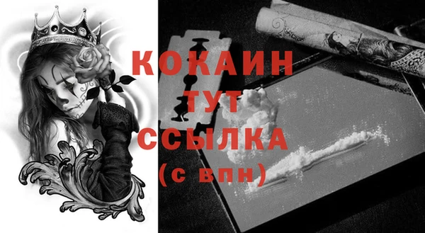 PSILOCYBIN Покачи