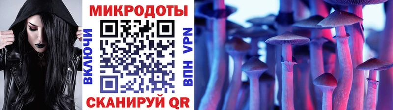 Псилоцибиновые грибы ЛСД  даркнет сайт  Каргат 