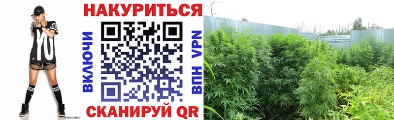 наркотики  Каргат  Шишки марихуана VHQ 